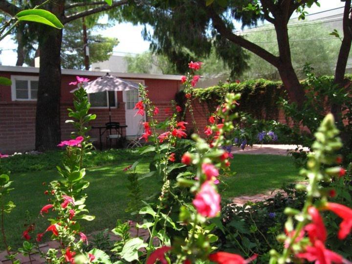 Mon Ami Bed And Breakfast Tucson Room photo
